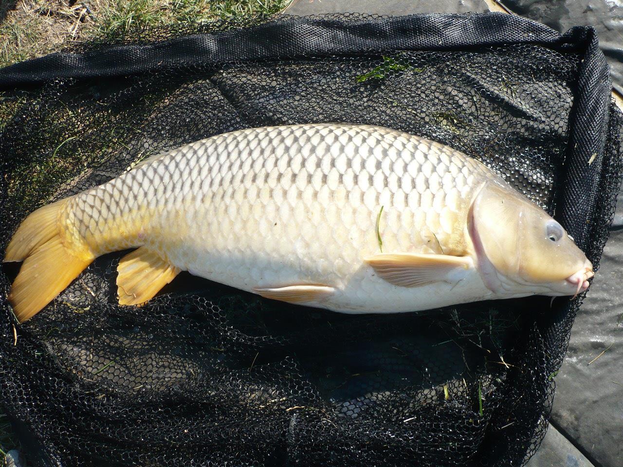 MV 2 - 19 SEPT 2014 - p1020854.JPG